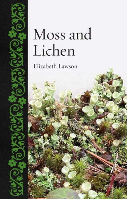 Moss & Lichen