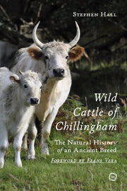 Wild Cattle Of Chillingham The Natural H By Hall, Stephen