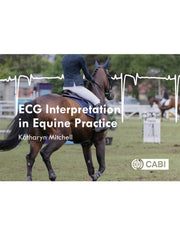 Ecg Interpretation In Equine Practice