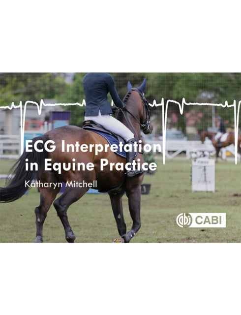 Ecg Interpretation In Equine Practice