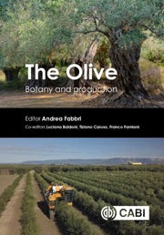 Olive The