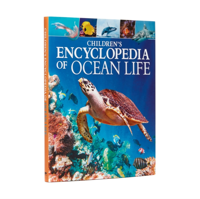 Childrens Encyclopedia Of Ocean Life