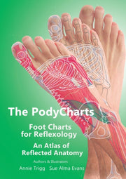 The Podycharts Foot Charts For Reflexolo By Trigg, Annie