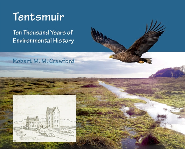 Tentsmuir Ten Thousand Years Of Environm