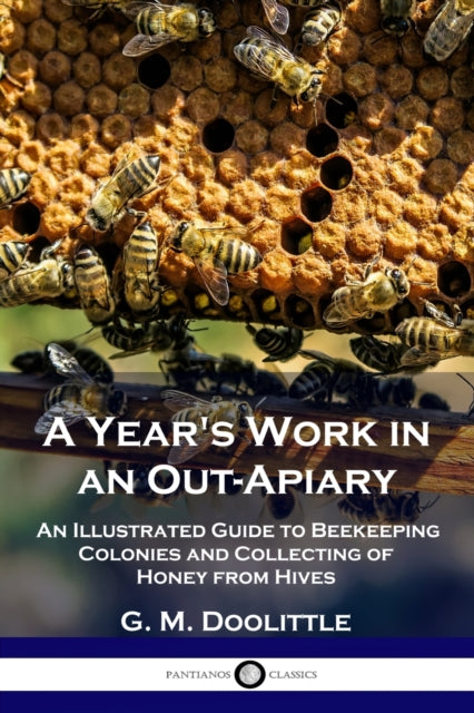 A Year's Work In An Out-apiary:  An Illu