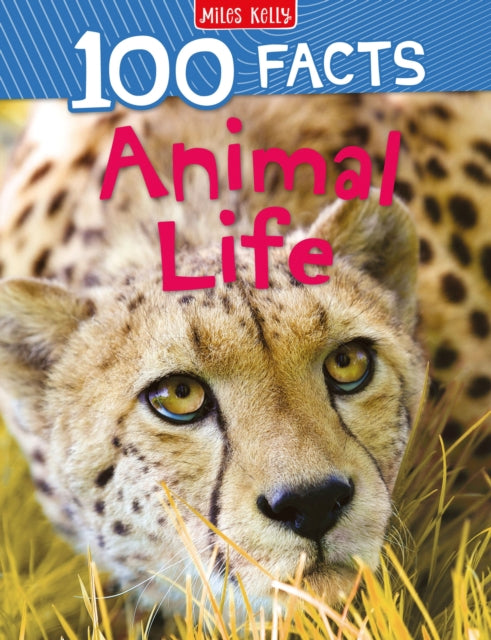 Animal Life