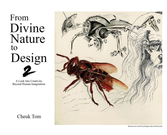 From Divine Nature To Design 2: A Look I