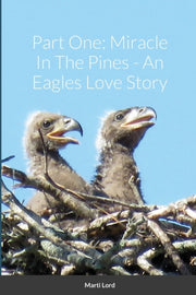 Part One: Miracle In The Pines - An Eagl