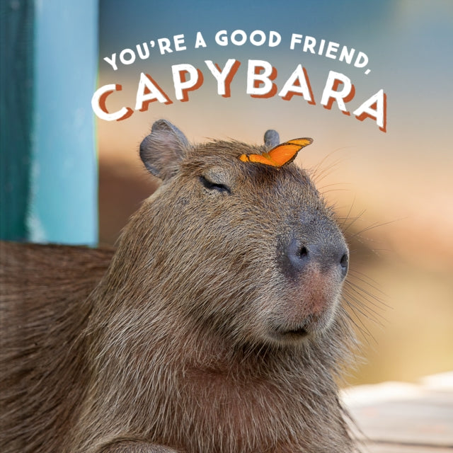 Youre A Good Friend Capybara