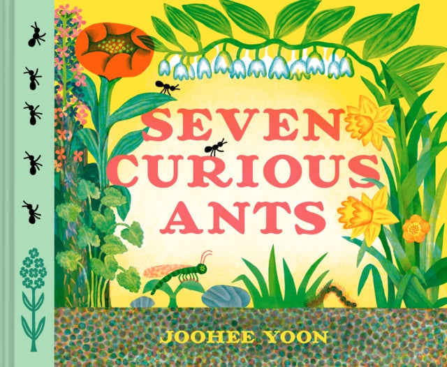 Seven Curious Ants By Yoon, Joohee