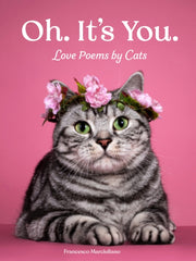 Oh Its You Love Poems By Cats