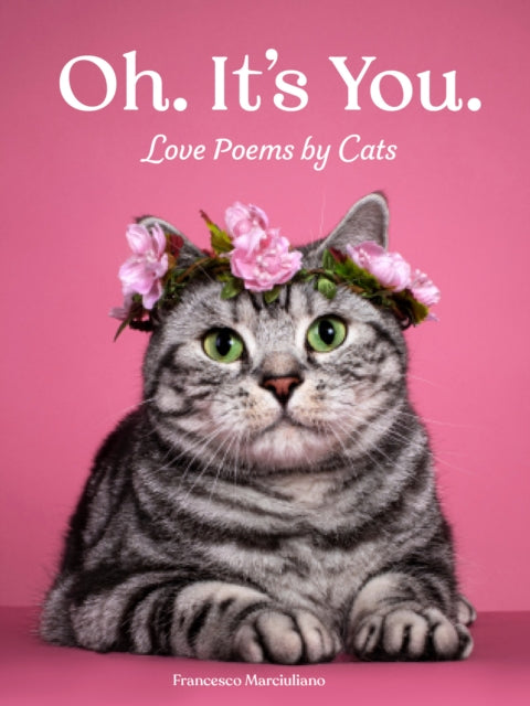 Oh Its You Love Poems By Cats