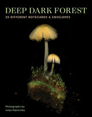 Deep Dark Forest 20 Notecards/envelopes