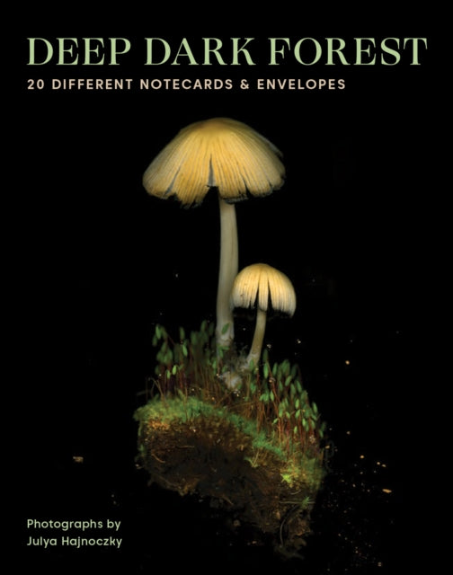 Deep Dark Forest 20 Notecards/envelopes