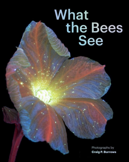 What The Bees See