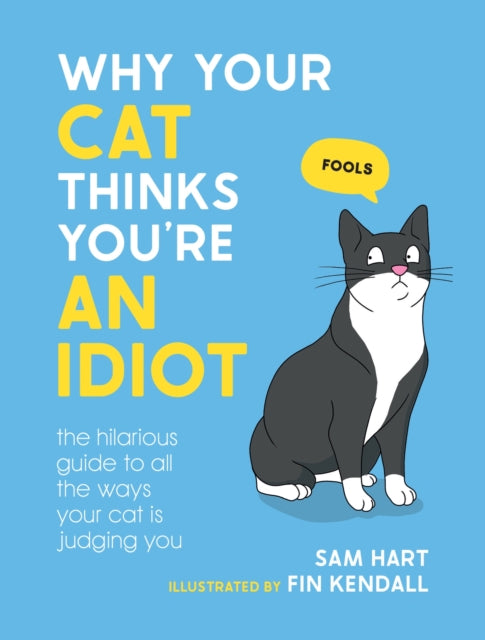 Why Your Cat Thinks Youre An Idiot