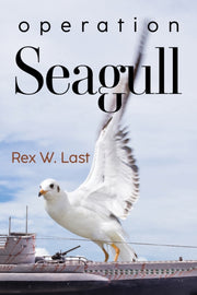 Operation Seagull