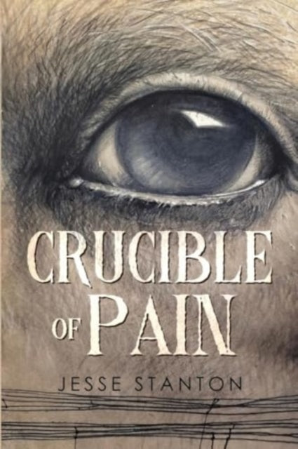 Crucible Of Pain