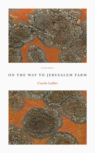 On The Way To Jerusalem Farm