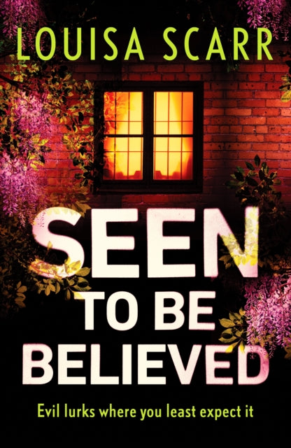 Seen To Be Believed By Scarr, Louisa