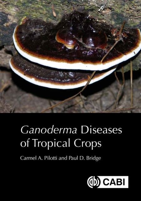 Ganoderma Diseases Of Tropical Crops