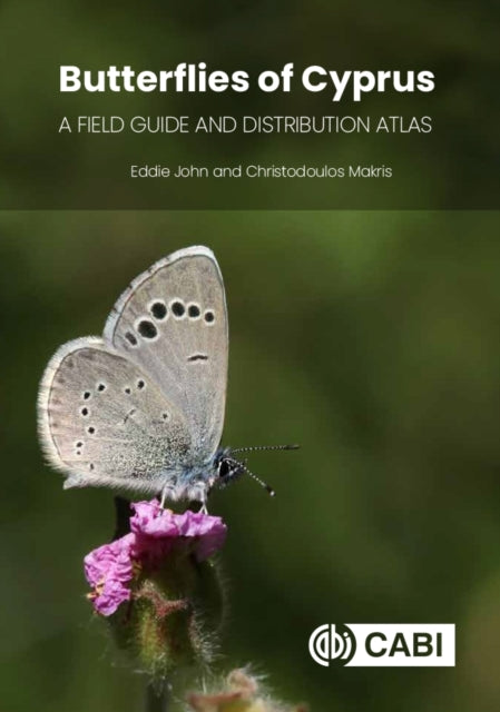 Butterflies Of Cyprus