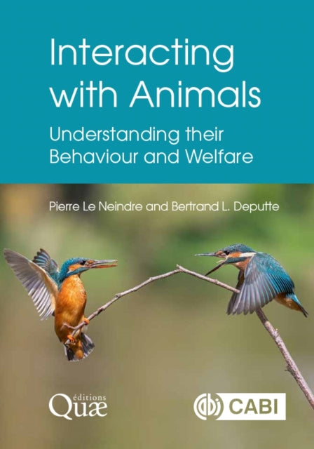 Interacting With Animals
