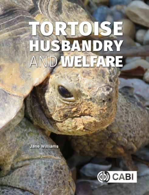 Tortoise Husbandry & Welfare