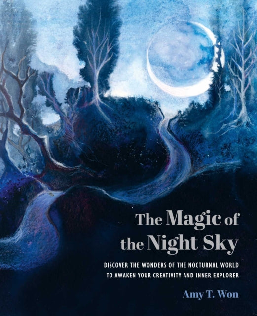 Magic Of The Night Sky By Won, Amy T