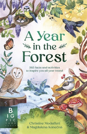 Year In The Forest By Modafferi, Christine