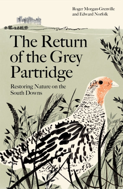 Return Of The Grey Partridge