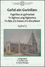 Gofal Ein Gwinllan 3 Ysgrifau Ar Gyfrani