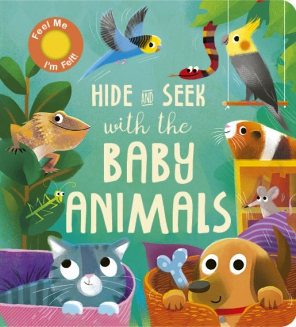 Hide And Seek With The Baby Animals