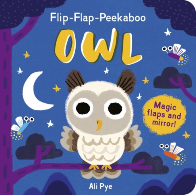 Flip Flap Peekaboo Owl By Costello, Dee
