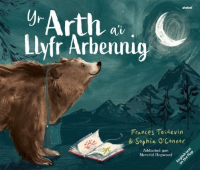 Arth Ai Llyfr Arbennig Yr Bear & Her Boo