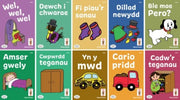 Llyfrau Hwyl Magi Ann Cam Tedi By Evans,mena