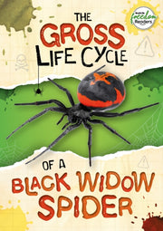 Gross Life Cycle Of A Black Widow Spider