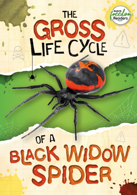Gross Life Cycle Of A Black Widow Spider
