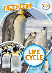 Penguins Life Cycle