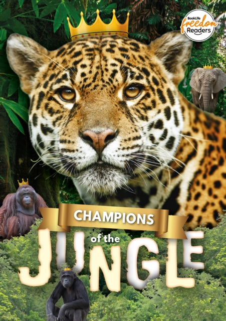 Champions Of The Jungle