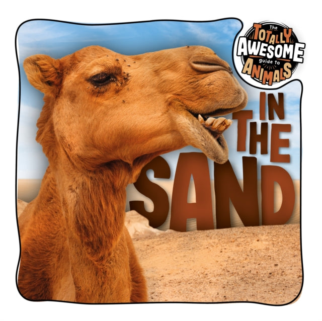 In The Sand