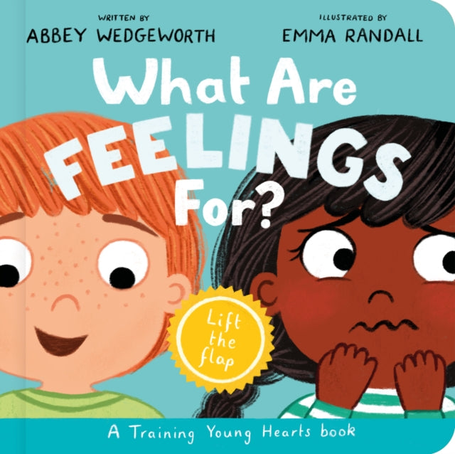 What Are Feelings For Board Book