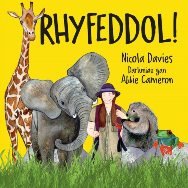 Rhyfeddol 1
