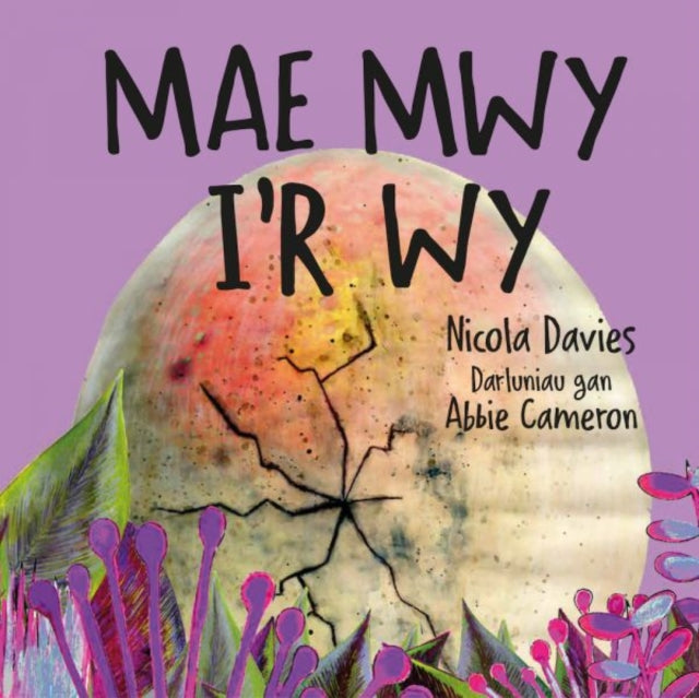Mae Mwy Ir Wy