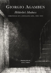 Hoelderlin Holed Up 1806-1843