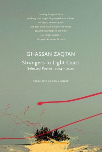 Strangers In Light Coats