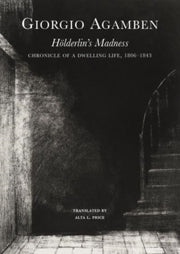 Hoelderlin S Madness