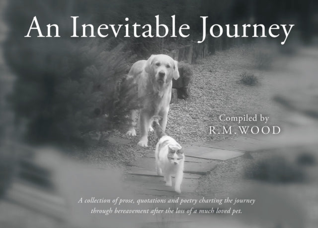 Inevitable Journey
