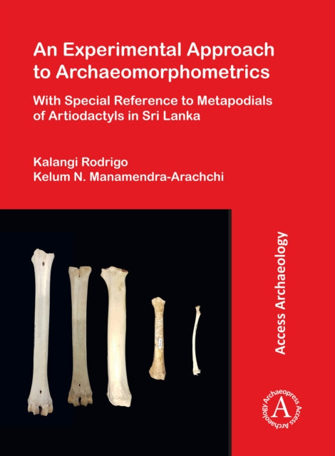 Experimental Approach To Archaeomorphome
