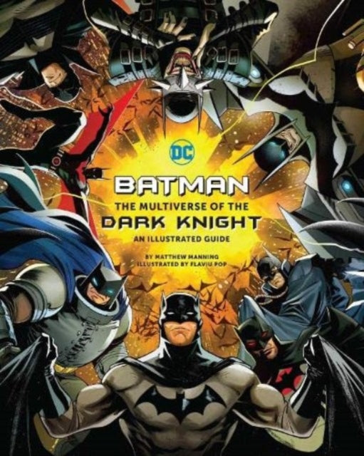 Batman Multiverse Of Dark Knight